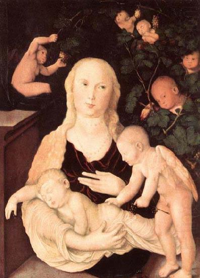 Hans Baldung Grien Virgin of the Vine Trellis china oil painting image